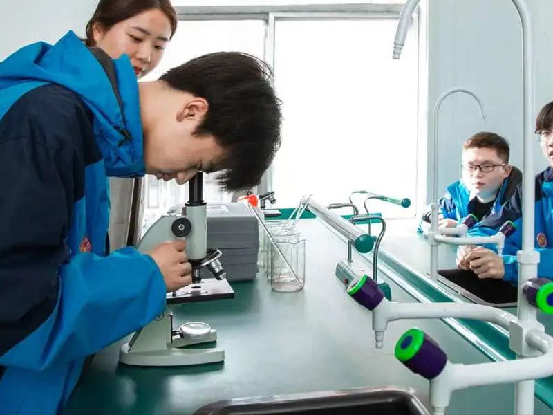 宁强化学实验室